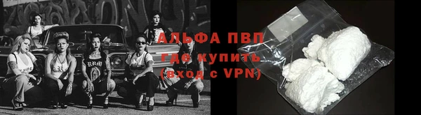 амф Абаза