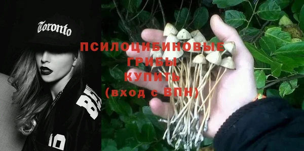не бодяженный Абдулино