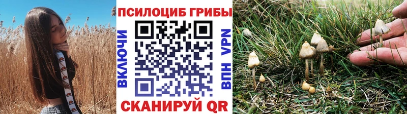 магазин  наркотиков  Нариманов  дарк нет формула  Псилоцибиновые грибы прущие грибы 